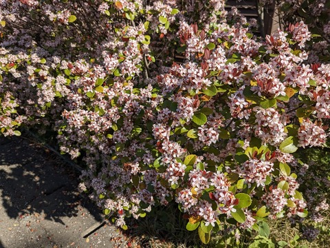 PXL_20240424_232235885