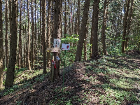 PXL_20240425_014324068