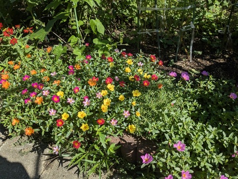 PXL_20240718_233615768