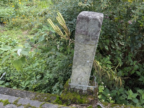 PXL_20251102_011806657