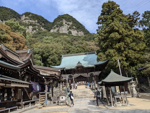 PXL_20241108_044001877