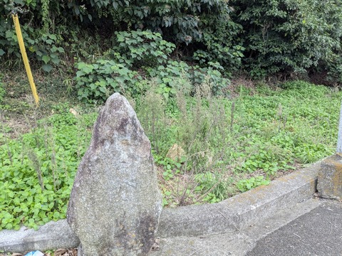 PXL_20250928_012735610