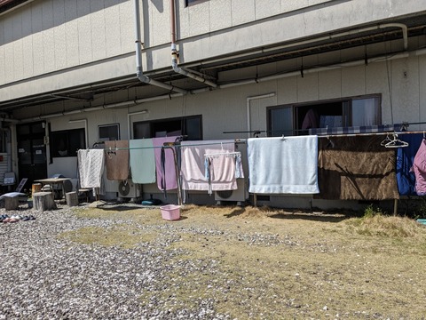 PXL_20240330_021752815