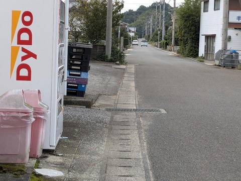 PXL_20241024_041456877