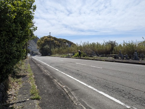 PXL_20240329_023532845