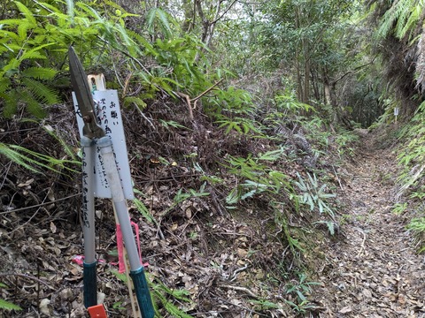 PXL_20241121_004750727