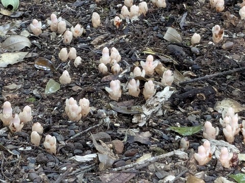 PXL_20251125_010750478