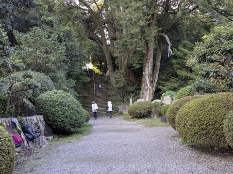 PXL_20251103_054451380