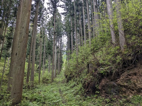 PXL_20240427_031436321