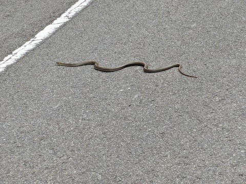 PXL_20240426_021334363