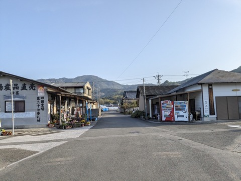 PXL_20240329_221432463