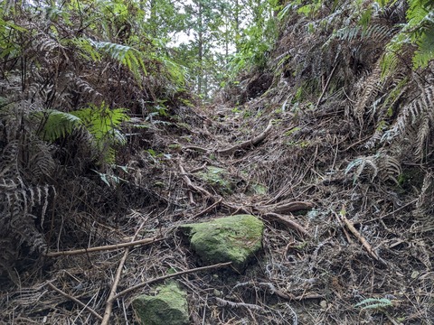 PXL_20241121_003043932