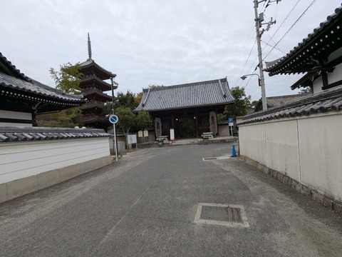 PXL_20251112_064551289