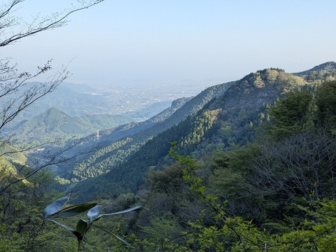 PXL_20250425_220451664