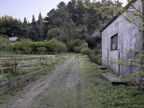 PXL_20250425_215632870