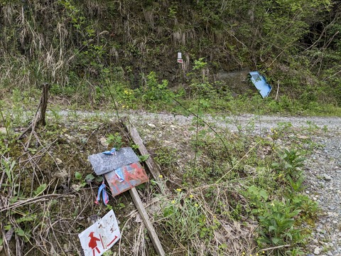 PXL_20240426_040648421