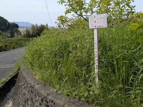 PXL_20250430_065032652