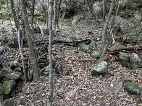 PXL_20241120_223317709