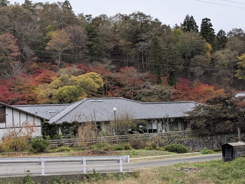 PXL_20251113_060955976