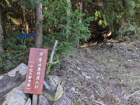 PXL_20241120_011526899