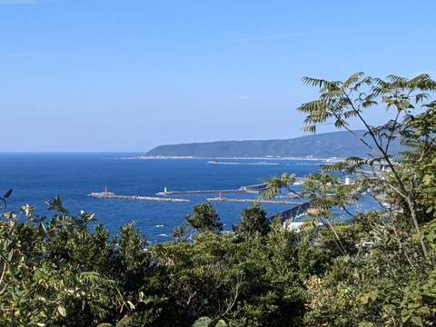 PXL_20241122_030602980