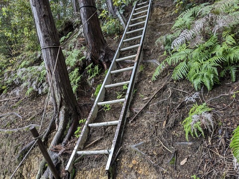 PXL_20240424_010920824