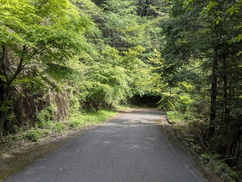 PXL_20250430_061142648