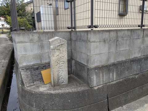 PXL_20251112_024255943