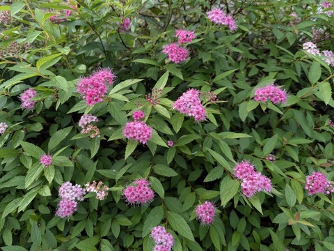 PXL_20251102_051703215