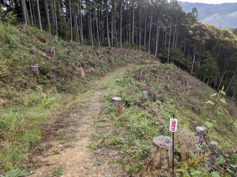 PXL_20240425_214628769