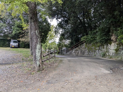 PXL_20241027_000118264