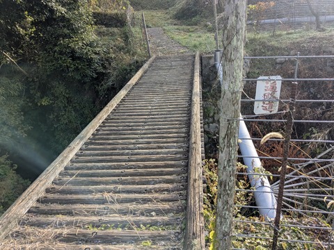 PXL_20251113_230628045