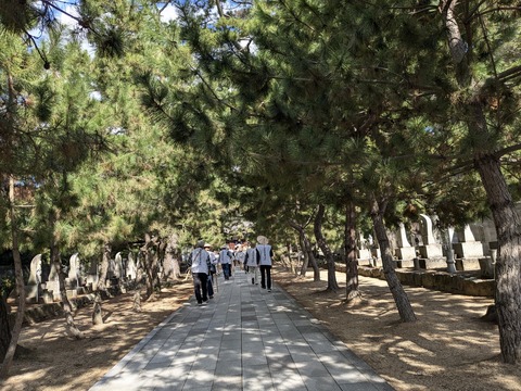 PXL_20241107_014104835