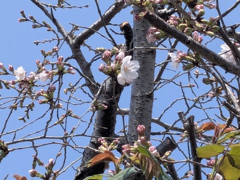 PXL_20250326_030512098