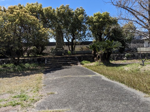 PXL_20240329_030422756