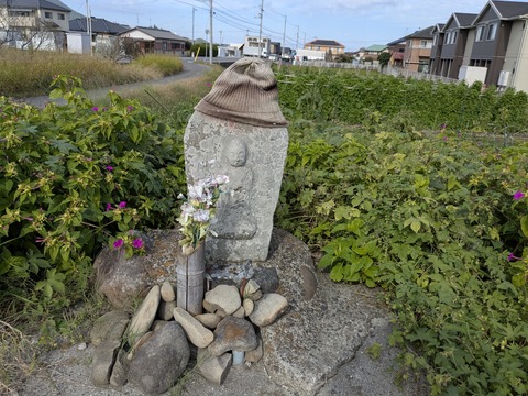 PXL_20251111_032614002