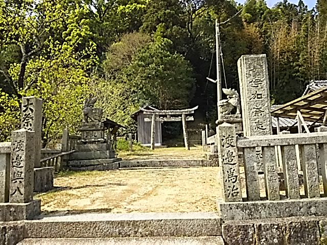 イメージ 22