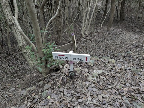 PXL_20250928_031636665