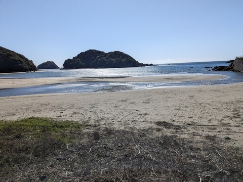 PXL_20240327_002042539