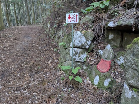 PXL_20250425_215904683