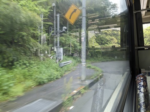 PXL_20240423_022317095