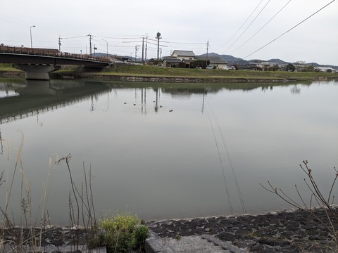 PXL_20240331_051430713