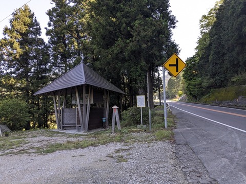 PXL_20240424_233702666