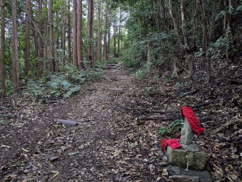 PXL_20251124_235524376