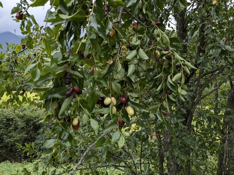 PXL_20240925_011520554