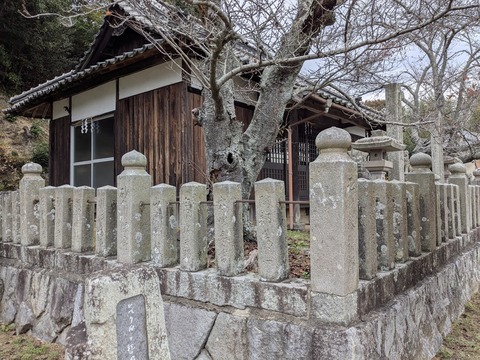 PXL_20251112_233221415