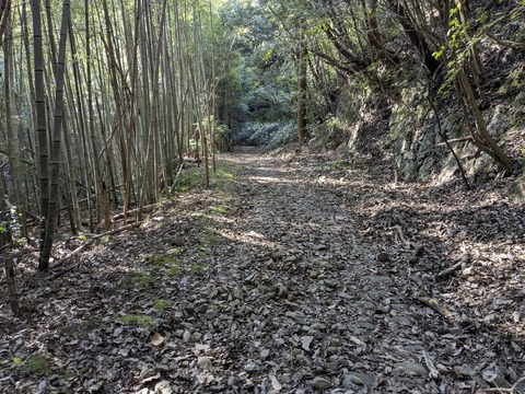 PXL_20251115_003213224