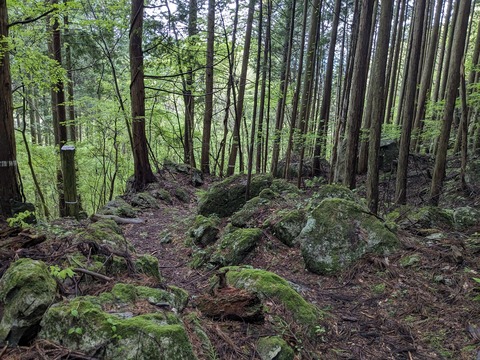 PXL_20240427_034317621