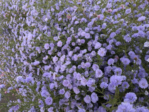 PXL_20241119_221947002