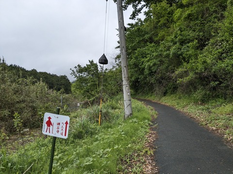 PXL_20240424_005649276